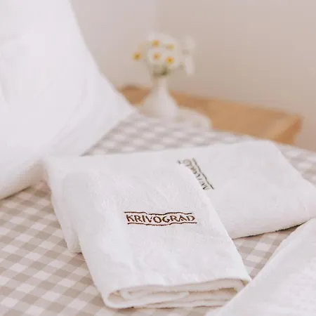 Guest house Gostisce Krivograd 3*