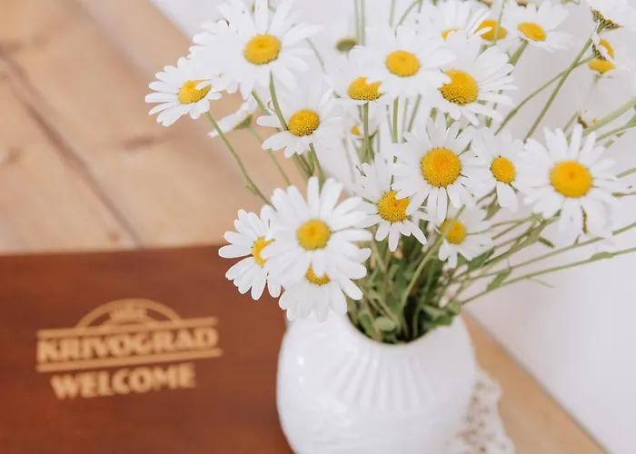 Gostisce Krivograd 3* Prevalje